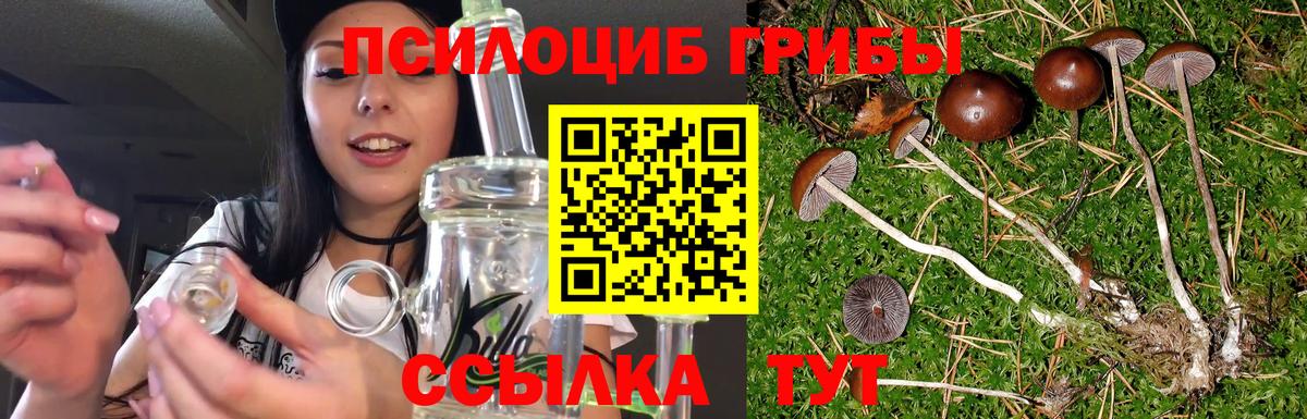 Галлюциногенные грибы MAGIC MUSHROOMS  Вход с VPN  Галлюциногенные грибы MAGIC MUSHROOMS  Сибай 