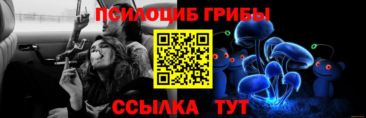Галлюциногенные грибы Magic Shrooms Сибай