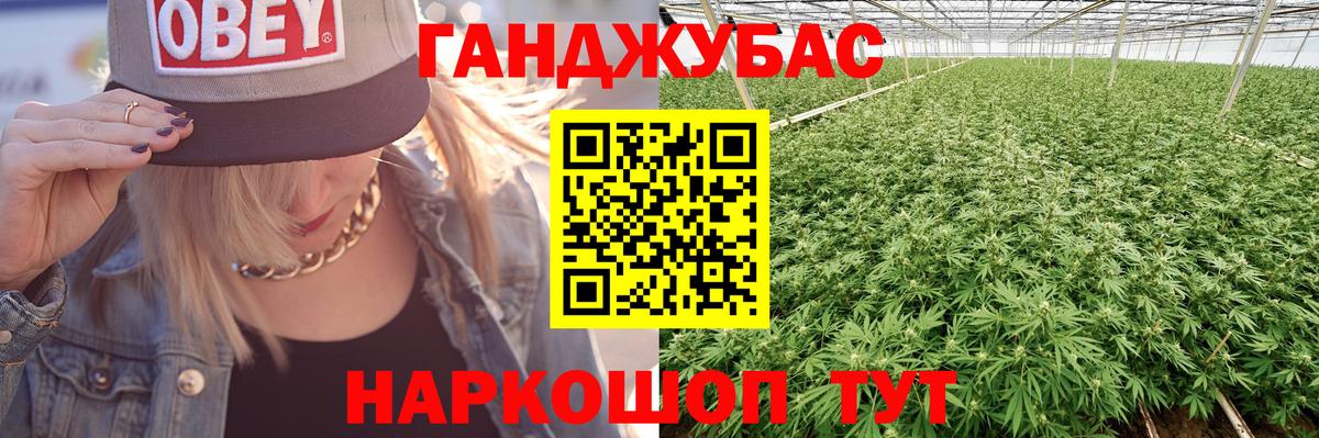 Каннабис планчик Сибай